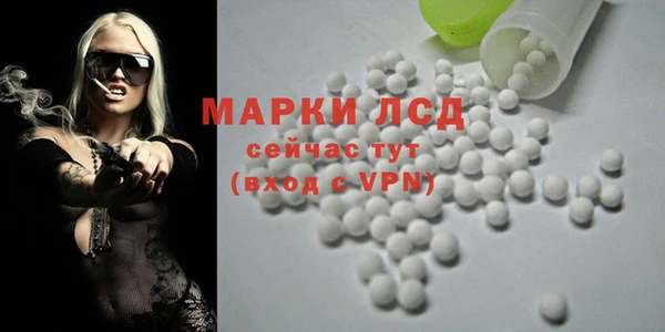экстази Арсеньев