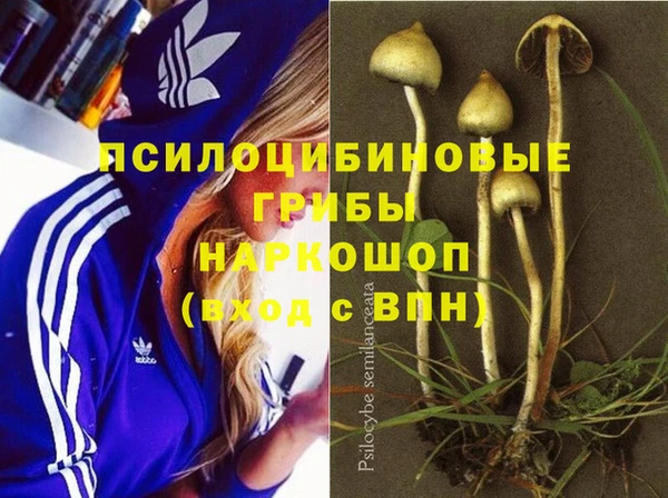 экстази Арсеньев