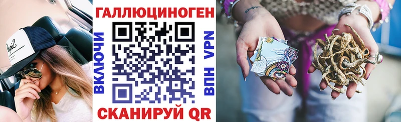 Купить  Алдан  Псилоцибиновые грибы Cubensis 